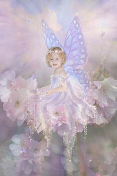 fairies in my garden✨
